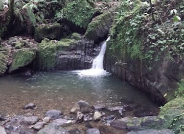 puerto-rico/el-yunque-national-forest/shop/la-coca-shack