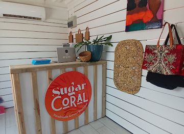 saint-lucia/gros-islet-quarter/shop/sugar-coral