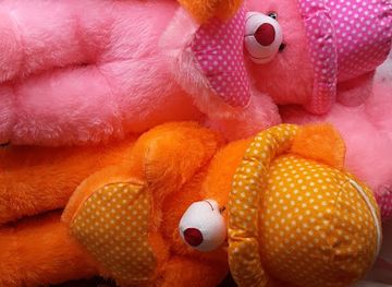 india/agartala/shop/joyguru-teddy-house