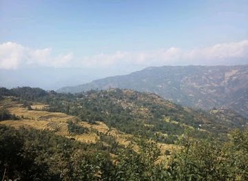 nepal/koshi-zone/shop/d-p-s-hotel-shop