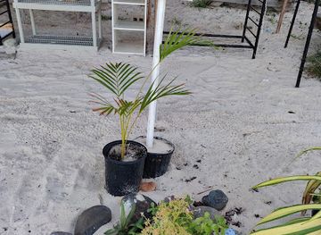 anguilla/sandy-ground-village/shop/sandy-ground