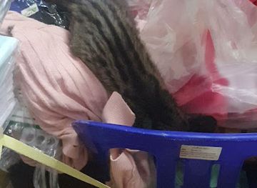 laos/bolikhamxay-province/shop/foua-gift-shop