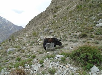 pakistan/karakoram-highway/shop/hunza-store