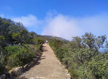 south-africa/de-hoop-nature-reserve/shop/cape-of-good-hope