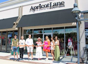 tennessee/knoxville/shop/apricot-lane-boutique