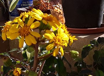 malta/mqabba/shop/malta-fast-print