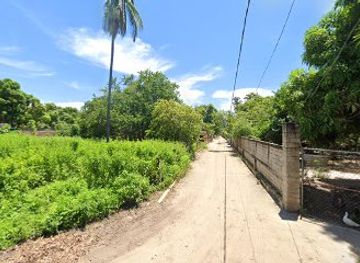 mexico/sierra-madre-del-sur/shop/miscelanea-yuridia