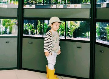 romania/deva/shop/zoo-center-deva