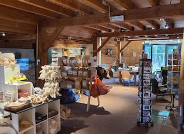 netherlands/veluwe/shop/ermelo-sheepfold