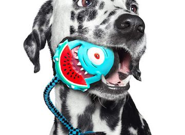 australia/magnetic-island/shop/bella-and-coco