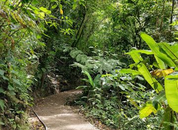 costa-rica/monteverde-cloud-forest-biological-reserve/shop/parqueo-reserva-monteverde-cloud-forest