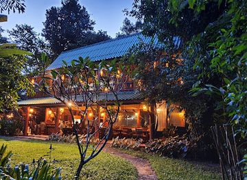 thailand/khao-sok-national-park/shop/our-jungle-house