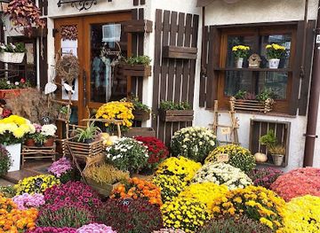 ukraine/lutsk/shop/flowershop-lutsk