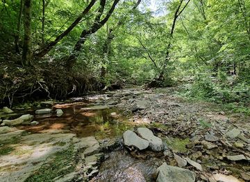 south-korea/naejangsan-national-park/shop/naejangsan-yonggul-grotto