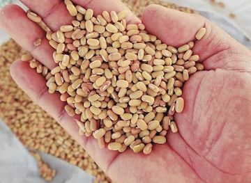 madagascar/menabe/shop/rovasoa-industry