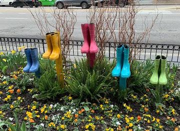 illinois/berwyn/shop/michigan-ave