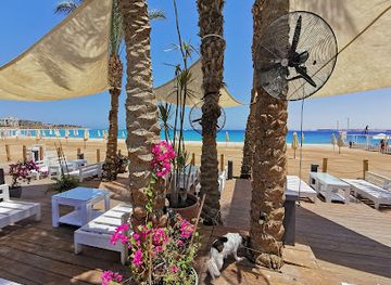 egypt/red-sea-coast/shop/bestway-supermarket-sahl-hasheesh
