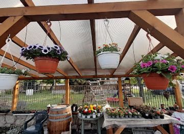 hungary/bodrogkoz/shop/zsuzsa-disznoveny-aruda