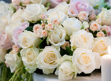 norway/oslo/holmenkollen/shop/blomsterloftet