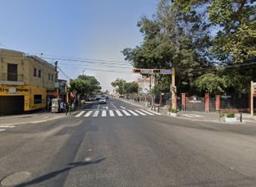 peru/lima/barranco/shop/pato-store