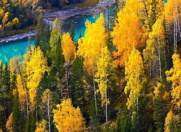 algeria/algiers/casbah/shop/haseeba