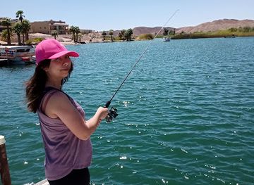 arizona/kofa-national-wildlife-refuge/shop/martinez-lake-store