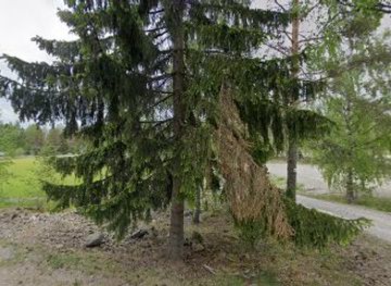 finland/varsinais-suomi-southwest-finland/shop/turkusahko