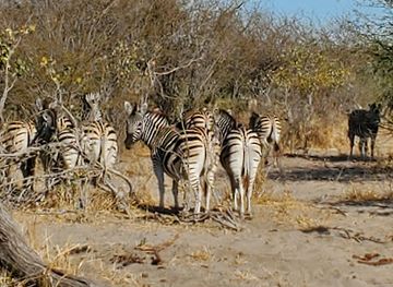 botswana/nxai-pan-national-park/shop/makgadikgadi-pans-national-park