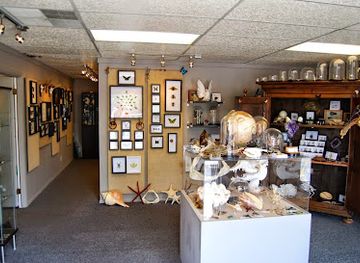 utah/snowbird/shop/natur-showroom