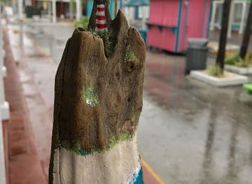 the-bahamas/grand-bahama-island/shop/coastal-mojo