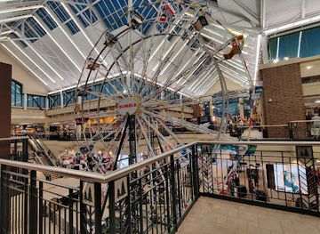 Scheels
