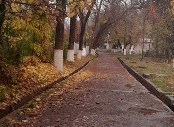 uzbekistan/ugam-chatkal-national-park/shop/chorvoq