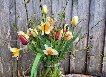 ireland/the-burren/shop/the-burren-flower-farm