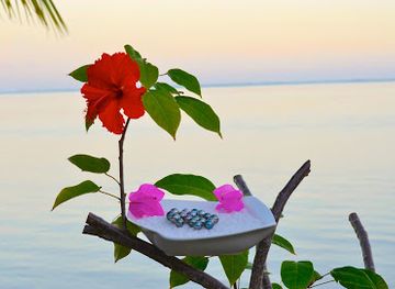 french-polynesia/moorea/shop/artisan-perlier