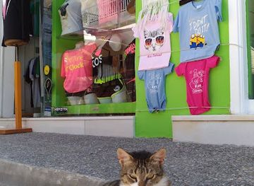 greece/kos/kardamena/shop/printalicious