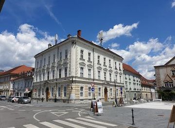 slovenia/central-slovenia/shop/main-market