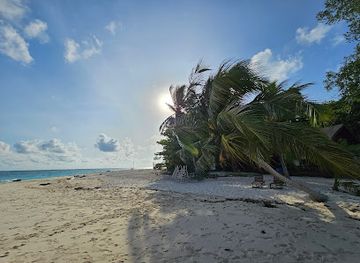 malaysia/pulau-sipadan/shop/sipadan-island