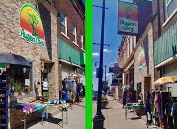 wisconsin/la-crosse/shop/tree-huggers-co-op