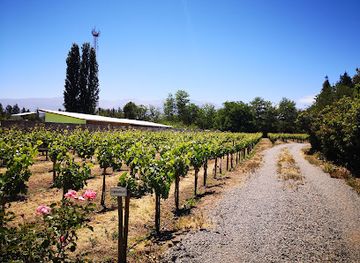 chile/aconcagua-valley/shop/flaherty-wines