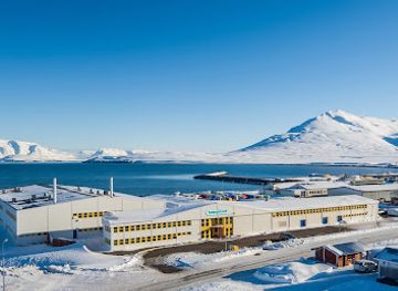 iceland/dalvik/shop/saplast