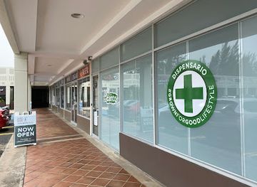 puerto-rico/dorado/shop/encanto-tree-dorado