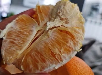 bulgaria/pirin-macedonia/shop/supermarket