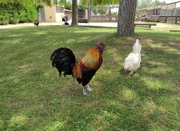 spain/la-rioja/shop/rioja-natura-park-zoo