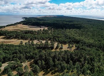 lithuania/curonian-spit-national-park/shop/avikalnis-observation-deck