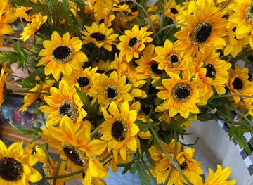 nebraska/eugene-t-mahoney-state-park/shop/the-holiday-market