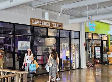 kentucky/newport/shop/the-lavender-trail