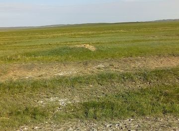 kazakhstan/bayanaul-national-park/shop/kamila