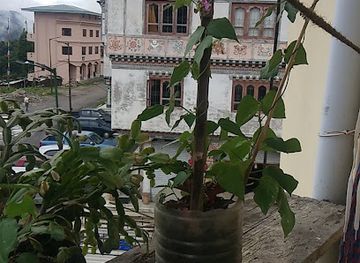 bhutan/chhukha/shop/tshering-dema-khabzay-zaw-kapchey-and-chips