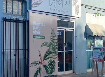 puerto-rico/isabela/shop/verdelias-plant-boutique