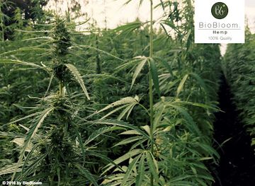 austria/seewinkel/shop/biobloom